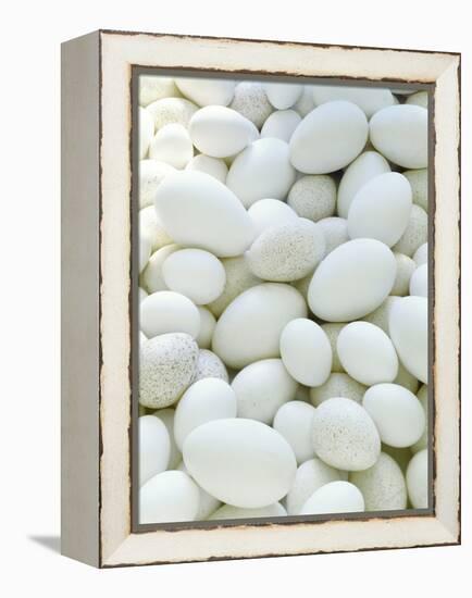 Eggs-David Munns-Framed Premier Image Canvas