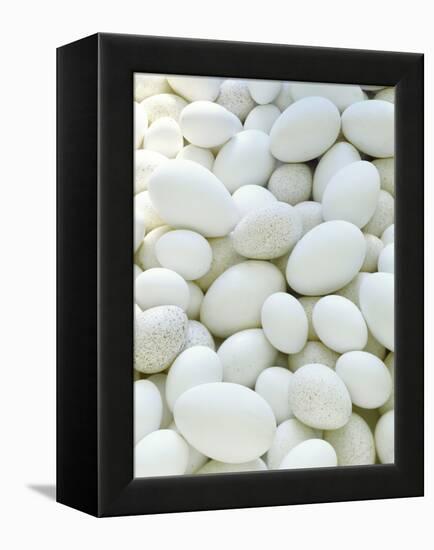 Eggs-David Munns-Framed Premier Image Canvas