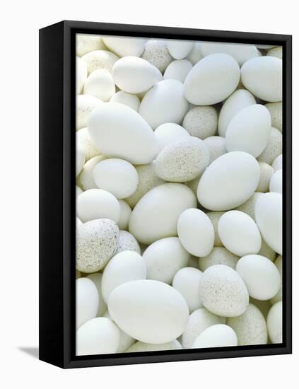 Eggs-David Munns-Framed Premier Image Canvas