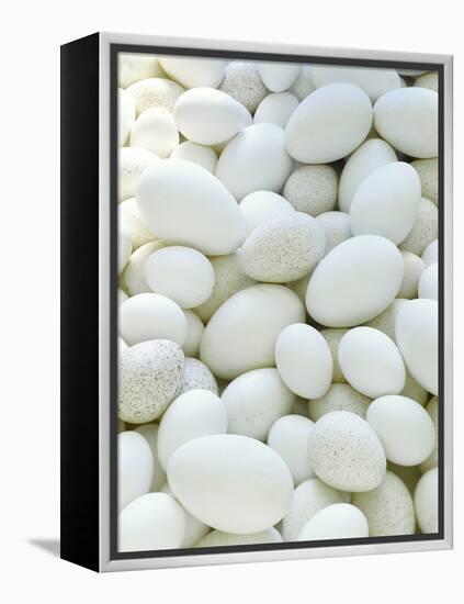 Eggs-David Munns-Framed Premier Image Canvas