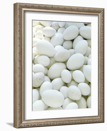 Eggs-David Munns-Framed Photographic Print