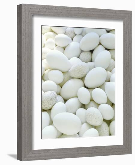 Eggs-David Munns-Framed Photographic Print