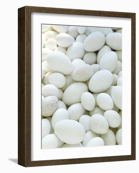 Eggs-David Munns-Framed Photographic Print