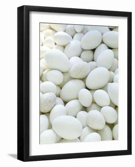 Eggs-David Munns-Framed Photographic Print