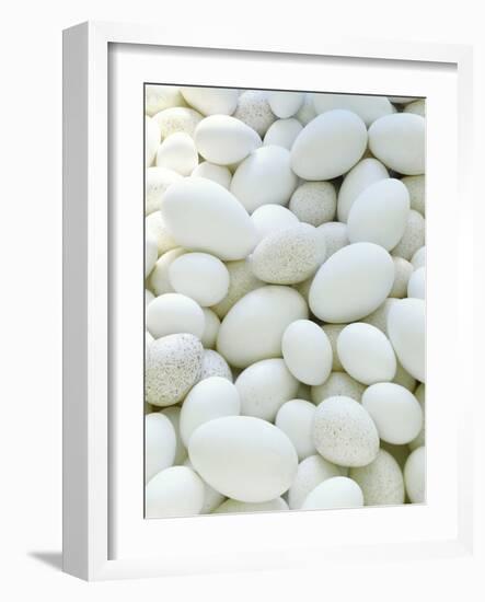 Eggs-David Munns-Framed Photographic Print