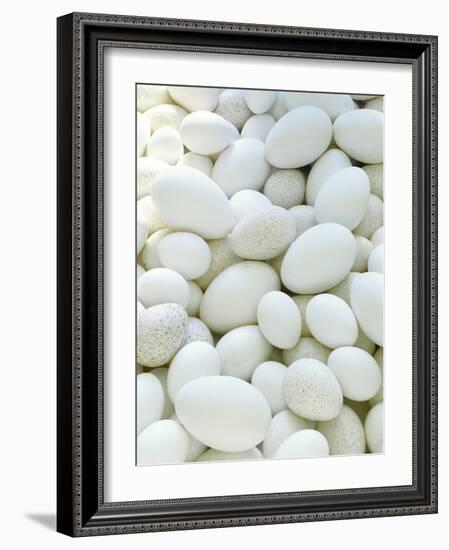 Eggs-David Munns-Framed Photographic Print