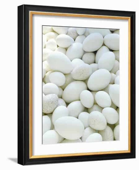 Eggs-David Munns-Framed Photographic Print