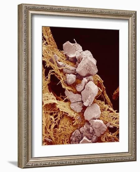 Eggshell-Micro Discovery-Framed Photographic Print