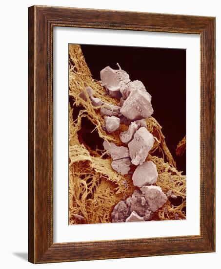 Eggshell-Micro Discovery-Framed Photographic Print