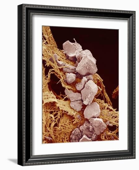 Eggshell-Micro Discovery-Framed Photographic Print