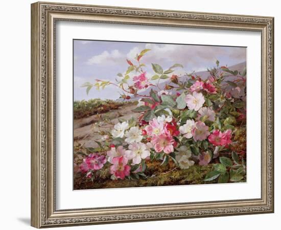 Eglantine, 1883-William Jabez Muckley-Framed Giclee Print