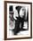 Egon Schiele (1890-1918)-Egon Schiele-Framed Photographic Print