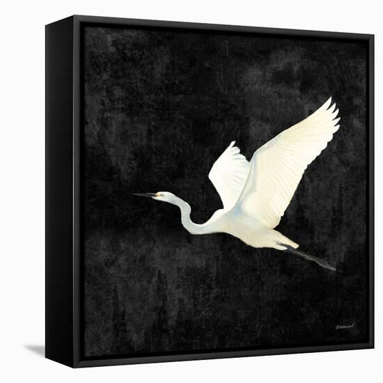 Egret Alighting II Flipped Black-Kathrine Lovell-Framed Stretched Canvas