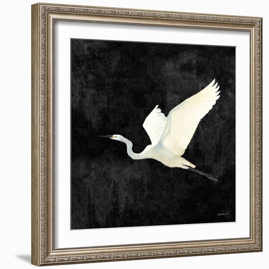 Egret Alighting II Flipped Black-Kathrine Lovell-Framed Art Print