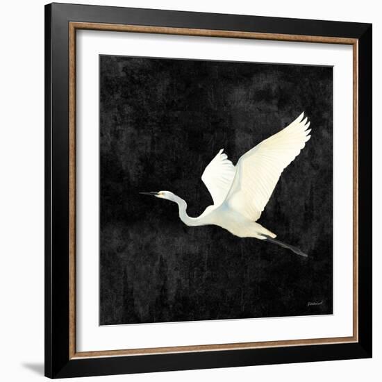 Egret Alighting II Flipped Black-Kathrine Lovell-Framed Art Print