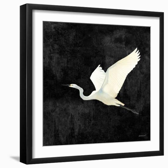 Egret Alighting II Flipped Black-Kathrine Lovell-Framed Art Print