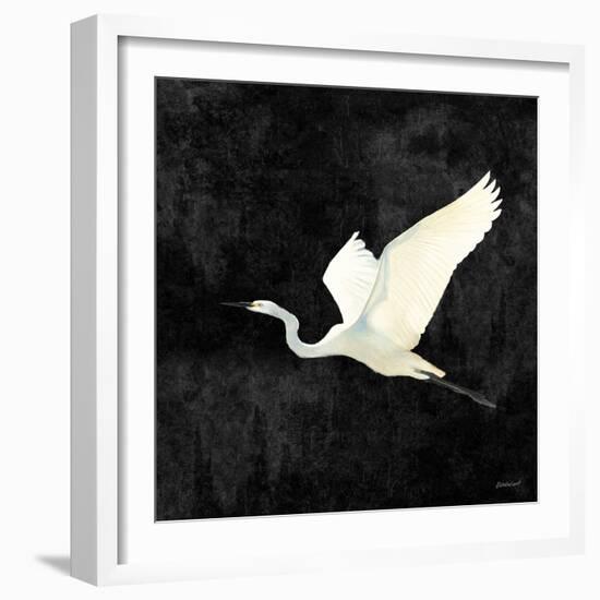 Egret Alighting II Flipped Black-Kathrine Lovell-Framed Art Print