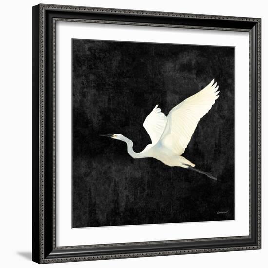 Egret Alighting II Flipped Black-Kathrine Lovell-Framed Art Print