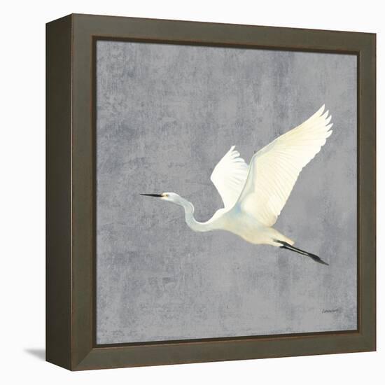 Egret Alighting II Flipped Gray No Grass-Kathrine Lovell-Framed Stretched Canvas