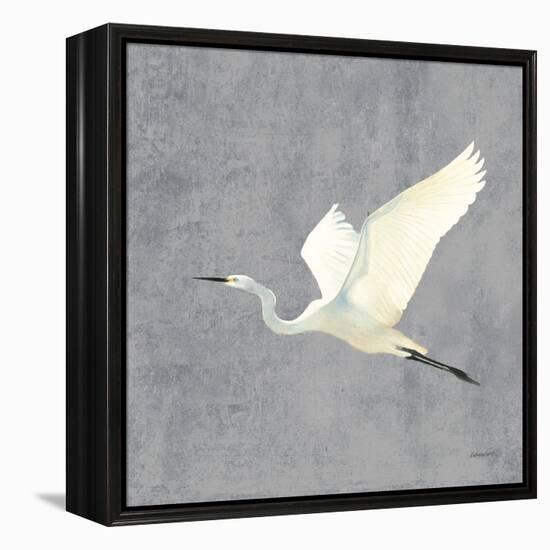 Egret Alighting II Flipped Gray No Grass-Kathrine Lovell-Framed Stretched Canvas