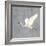 Egret Alighting II Flipped Gray No Grass-Kathrine Lovell-Framed Art Print