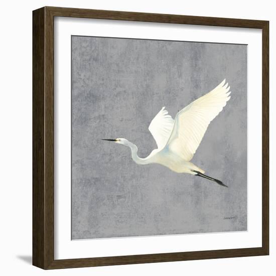 Egret Alighting II Flipped Gray No Grass-Kathrine Lovell-Framed Art Print