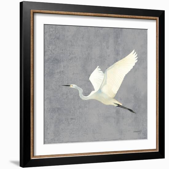 Egret Alighting II Flipped Gray No Grass-Kathrine Lovell-Framed Art Print