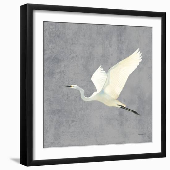 Egret Alighting II Flipped Gray No Grass-Kathrine Lovell-Framed Art Print