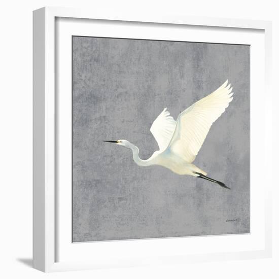 Egret Alighting II Flipped Gray No Grass-Kathrine Lovell-Framed Art Print