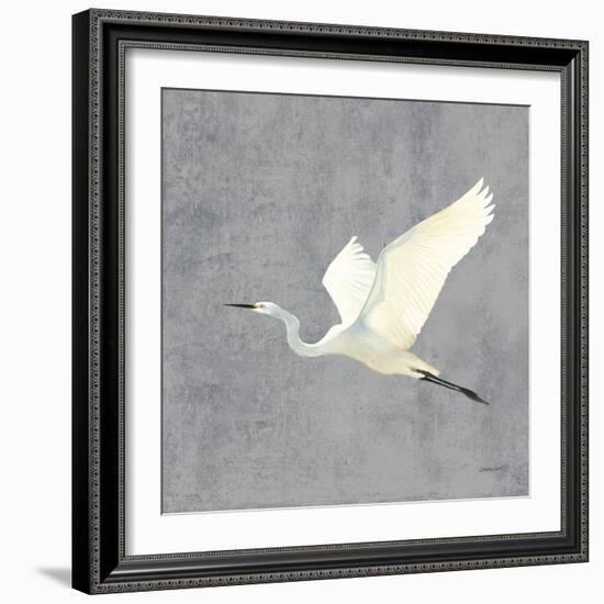 Egret Alighting II Flipped Gray No Grass-Kathrine Lovell-Framed Art Print