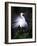 Egret Breeding Plumage, Venice, Florida, USA-Art Wolfe-Framed Photographic Print