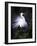 Egret Breeding Plumage, Venice, Florida, USA-Art Wolfe-Framed Photographic Print