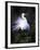 Egret Breeding Plumage, Venice, Florida, USA-Art Wolfe-Framed Photographic Print