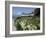 Egret Flies over the lawns of Alcatraz, San Francisco, California-Eric Risberg-Framed Photographic Print