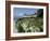 Egret Flies over the lawns of Alcatraz, San Francisco, California-Eric Risberg-Framed Photographic Print