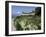 Egret Flies over the lawns of Alcatraz, San Francisco, California-Eric Risberg-Framed Photographic Print