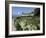 Egret Flies over the lawns of Alcatraz, San Francisco, California-Eric Risberg-Framed Photographic Print