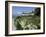 Egret Flies over the lawns of Alcatraz, San Francisco, California-Eric Risberg-Framed Photographic Print