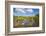 Egret in Mangroves, Playa Pesquero, Holguin Province, Cuba, West Indies, Caribbean, Central America-Jane Sweeney-Framed Photographic Print