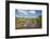 Egret in Mangroves, Playa Pesquero, Holguin Province, Cuba, West Indies, Caribbean, Central America-Jane Sweeney-Framed Photographic Print