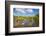 Egret in Mangroves, Playa Pesquero, Holguin Province, Cuba, West Indies, Caribbean, Central America-Jane Sweeney-Framed Photographic Print