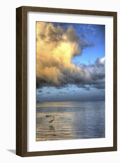 Egret In Water Vertical-Robert Goldwitz-Framed Giclee Print