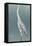 Egret on Azure I-Emma Caroline-Framed Stretched Canvas