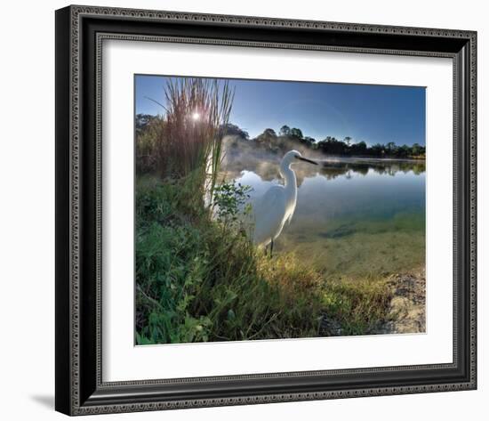 Egret Sunrise-Steve Hunziker-Framed Art Print