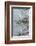 Egret-Gary Carter-Framed Photographic Print