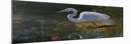 Egret-Michael Jackson-Mounted Giclee Print