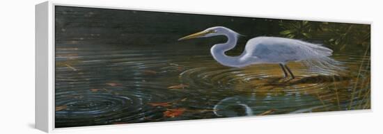 Egret-Michael Jackson-Framed Premier Image Canvas