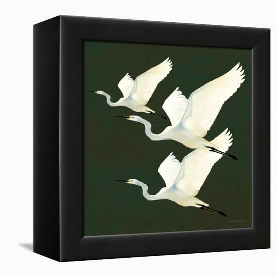 Egrets Alighting II on Green-Kathrine Lovell-Framed Stretched Canvas