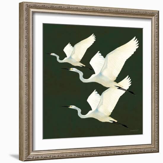 Egrets Alighting II on Green-Kathrine Lovell-Framed Art Print