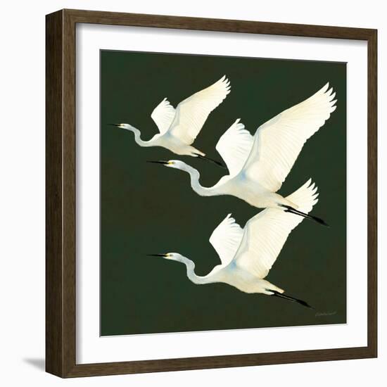 Egrets Alighting II on Green-Kathrine Lovell-Framed Art Print